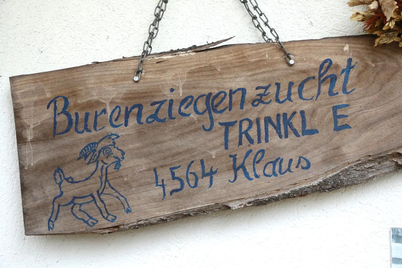Bed and Breakfast Hof Zur Steinwaend Micheldorf in Oberösterreich Exterior foto